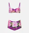Dolce & Gabbana Rose-print Balconette Bikini Top And High-waisted Bottoms In Purple