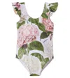 Dolce & Gabbana Hydrangea-print One-piece Swimsuit In Multi