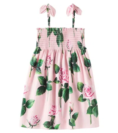 Dolce & Gabbana Kids' Floral Shirred Cotton Poplin Dress In Pink