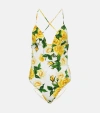 Dolce & Gabbana Floral Pattern One-piece Swimsuit In Rose Gialle Fdo Bco