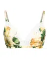 Dolce & Gabbana Floral Triangle Bra In Multi