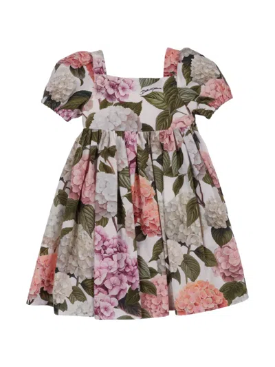 Dolce & Gabbana Kids' Baby Girl's & Little Girl's Floral Cotton Dress In Multi