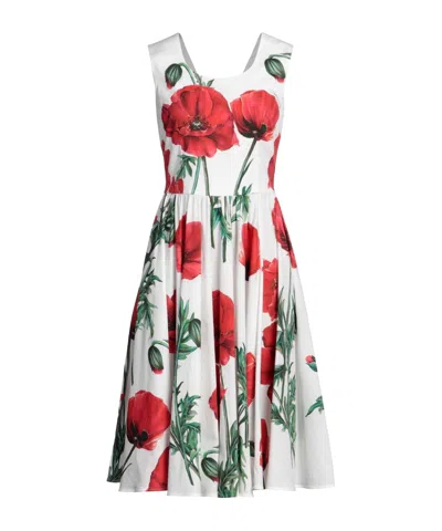 Dolce & Gabbana Floral-print Flared Dress In Multi