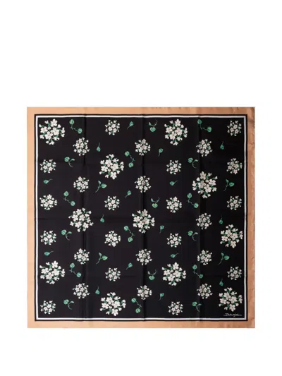 Dolce & Gabbana Floral-print Scarf In Black
