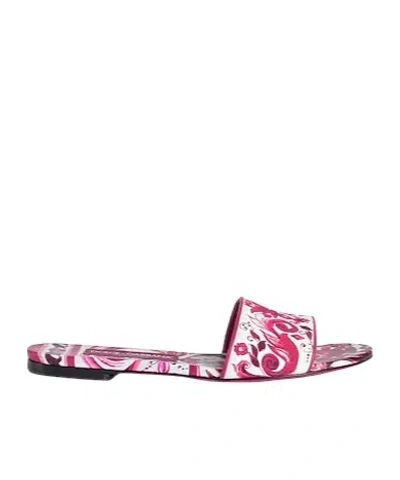 Dolce & Gabbana Floralprint Skate Slides In Pink