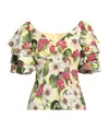 Dolce & Gabbana Floral-print Tops In Multi