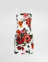 Dolce & Gabbana Flower-print Dress