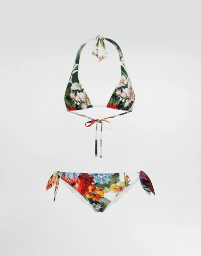 Dolce & Gabbana Flower-print Padded Triangle Bikini In Multi