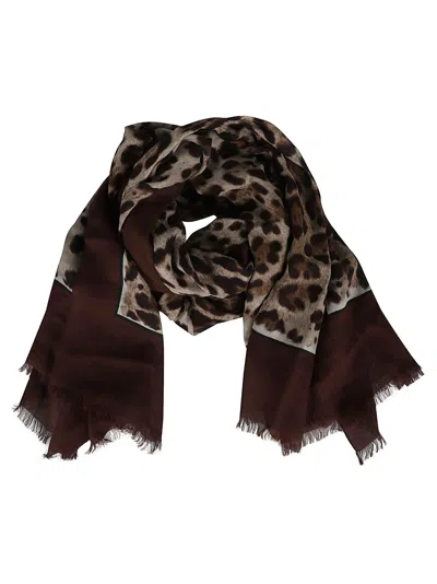 Dolce & Gabbana Fringed Scarf In Brown