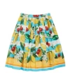 Dolce & Gabbana Fruit Printed Skirt In Multi
