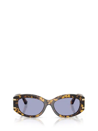 Dolce & Gabbana Full Frame Sunglasses In Brown