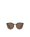 Dolce & Gabbana Full Frame Sunglasses In Brown