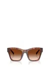 Dolce & Gabbana Full Frame Sunglasses In Brown