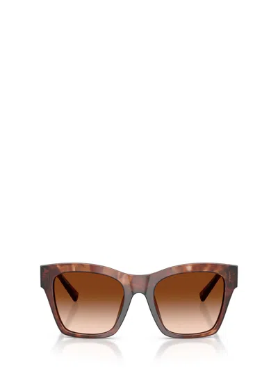 Dolce & Gabbana Full Frame Sunglasses In Brown