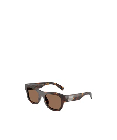 Dolce & Gabbana Full Frame Sunglasses In Brown