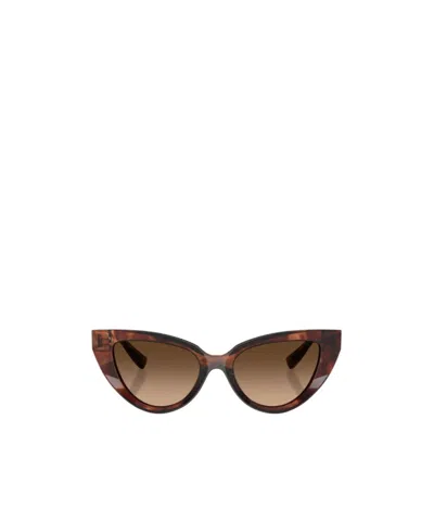 Dolce & Gabbana Full Frame Sunglasses In Brown