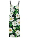 Dolce & Gabbana Multicolor Floral Print Halter Swimwear Bikini Top In Black