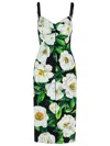 Dolce & Gabbana Multicolor Floral Print Halter Swimwear Bikini Top In Black