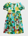 Dolce & Gabbana Striped Poplin Dress With Lemon And Cherry Print In Multi