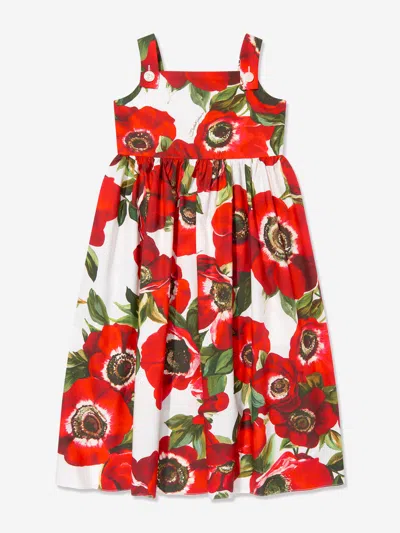 Dolce & Gabbana Babies'  Girls Anemone Print Dress In Multicoloured