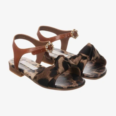 Dolce & Gabbana Kids' Girls Brown Leather Sandals