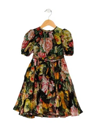 Pre-owned Dolce & Gabbana Babies' Girls' Floral Silk Short Sleeve Dress W/tags In Multi