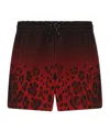 Dolce & Gabbana Gradient Leopard-print Shorts In Black