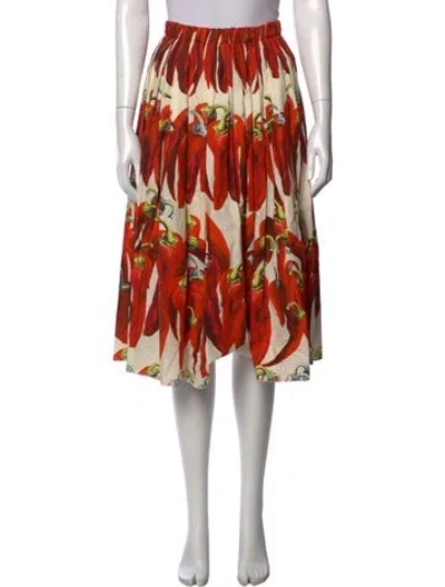 Pre-owned Dolce & Gabbana Graphic Print Midi Length Skirt In Neutrals
