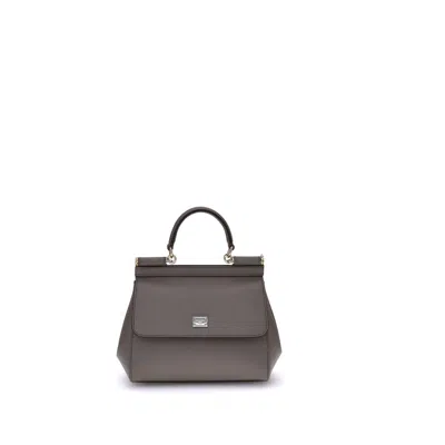 Dolce & Gabbana Gray Calf Leather Bos Taurus Shoulder Women's Bag