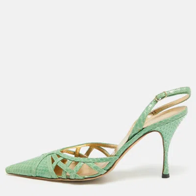 Pre-owned Dolce & Gabbana Green Python Leather Pointed Toe Pumps Size 37