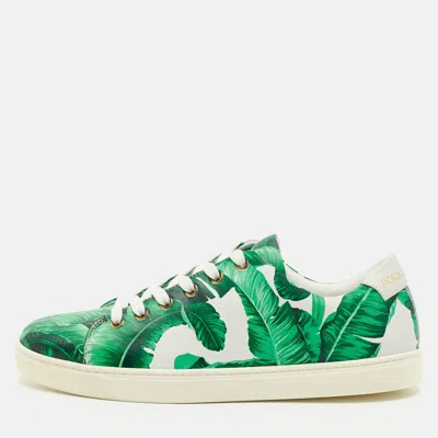 Pre-owned Dolce & Gabbana Green/white Leather Banana Leaf Print Low Top Sneakers Size 39