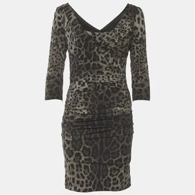 Pre-owned Dolce & Gabbana Grey Leopard Print Silk Ruche Mini Dress S In Gray