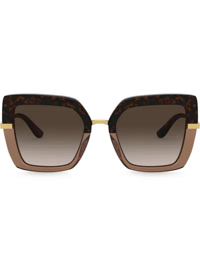 Dolce & Gabbana Dg4373 Havana On Transparent Brown Sunglasses