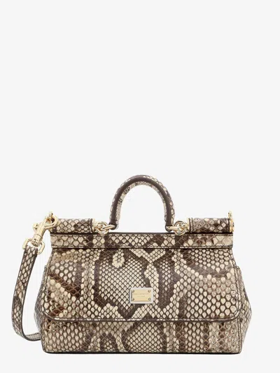 Dolce & Gabbana Handbag In Animal Print