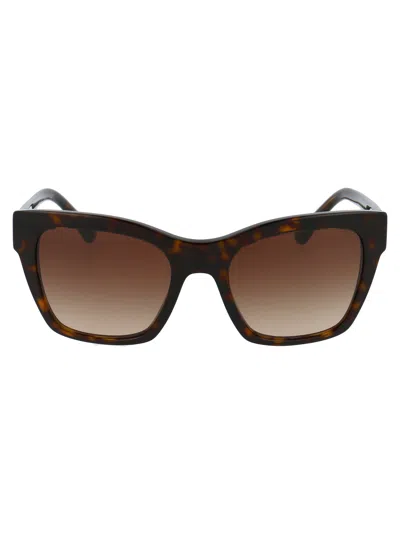 Dolce & Gabbana Havana Acetate Sunglasses