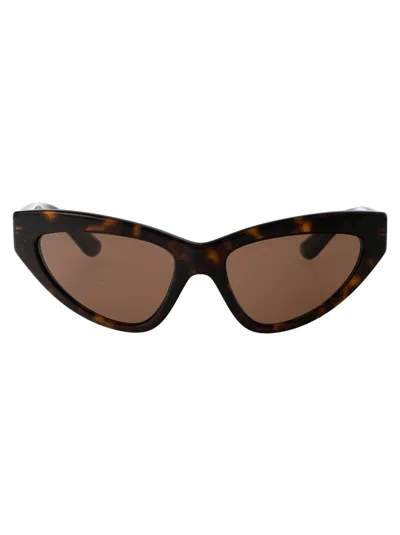 Dolce & Gabbana Havana Acetate Sunglasses