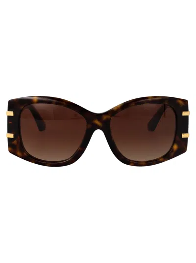 Dolce & Gabbana Havana Acetate Sunglasses In Brown