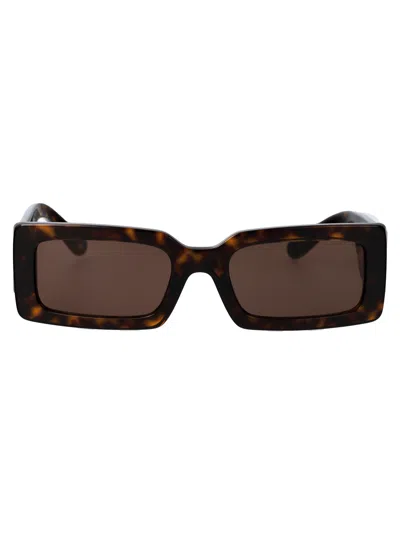 Dolce & Gabbana Havana Acetate Sunglasses In Brown