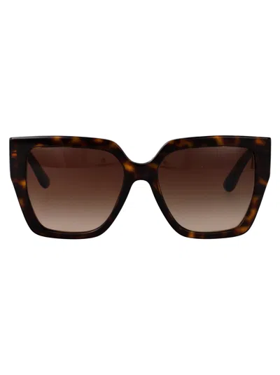Dolce & Gabbana Havana Acetate Sunglasses In Black