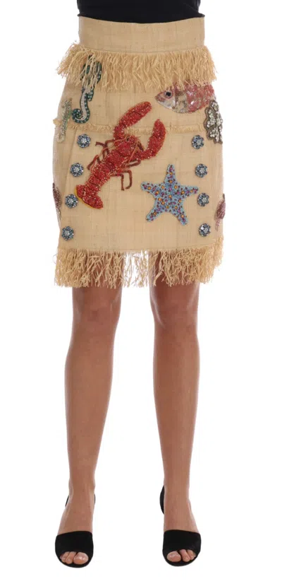 Dolce & Gabbana Crystal-embellished Palm Fiber Skirt In Neutral
