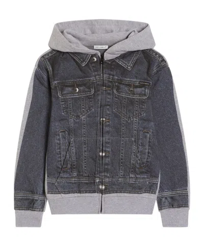 Dolce & Gabbana Kids' Hooded Jacket In Gray