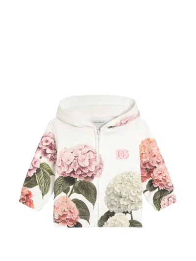 Dolce & Gabbana Babies' Hooded Sweatshirt With Hydrangea-print And Patch In Burgundy
