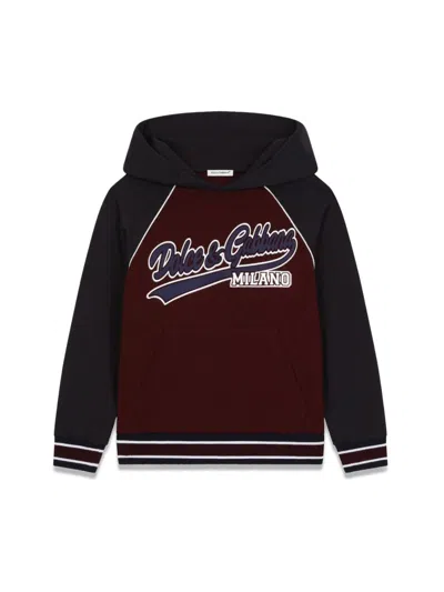 Dolce & Gabbana Hoodie In Burgundy