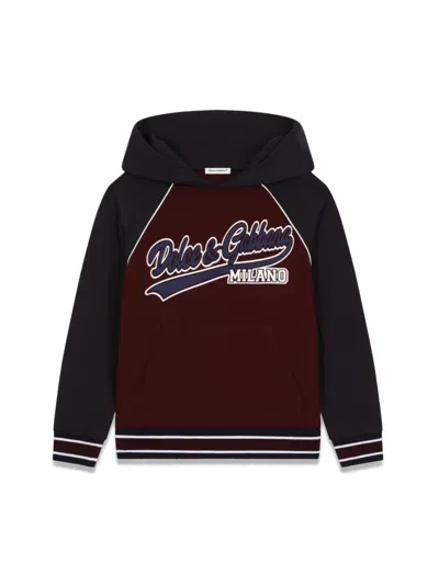 Dolce & Gabbana Kids' Hoodie In Multicolour