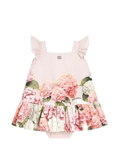 Dolce & Gabbana Babies' Hydrangea-print Canvas Dress In Pink
