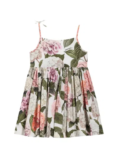 Dolce & Gabbana Hydrangea-print Poplin Dress In Multi