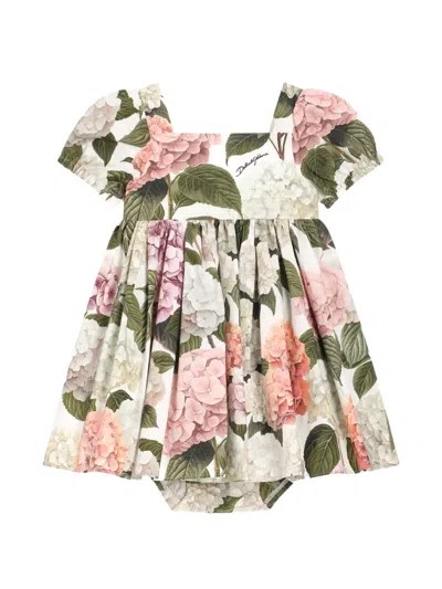 Dolce & Gabbana Babies' Hydrangea-print Poplin Dress In Green