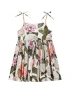 Dolce & Gabbana Hydrangea-print Poplin Dress In White