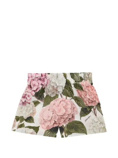 Dolce & Gabbana Kids' Hydrangea-print Poplin Shorts In Multi