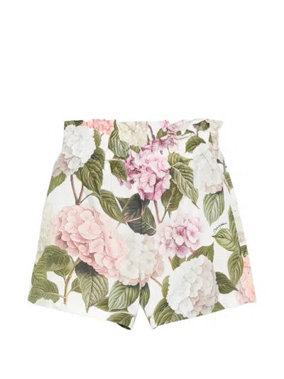 Dolce & Gabbana Kids' Hydrangea-print Shorts In Brown